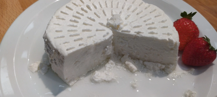 Queso fresco con thermomix (con cuajo)